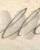 signatures/signature bellon michel 36.JPG